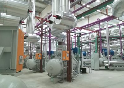 Proyecto Litera Meat